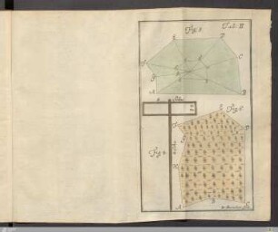 Tab: II. [enthält Fig: 4., Fig: 5, Fig: 6.]