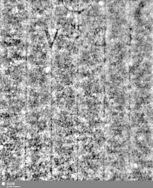 Lilienschild + IESV / LW = Vorsatzblatt 2