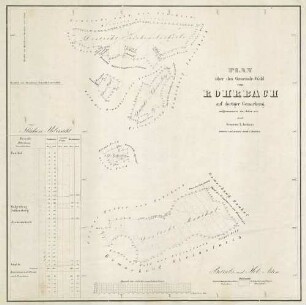 Plan über den Gemeinde-Wald von Rohrbach auf dortiger Gemarkung