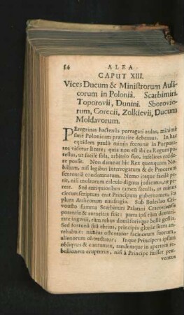 Caput XIII. Vices Ducum & Ministrorum Aulicorum in Polonia. ...
