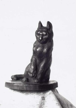 Kampfbereit (Katze)