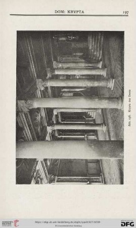 Abb. 138. Krypta des Doms