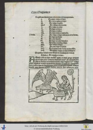 Registrum fabularum predictarum extravagantium.