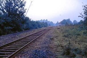 Dwerkaten