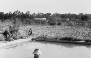 Wasserbassin eines italienischen Kolonisten : Blick über ein Wasserbassin mit Farm im Hintergrund