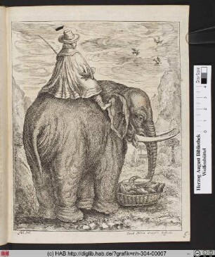 [Arbeitender Elefant]