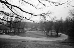 Krauchenwies: Kurve im Schlosspark
