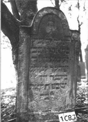 Grabstein 1087 (Index: 99899736) Material: Sandstein Zustand: stark verwittert Maße HxBxT: 125x62x15 cm Beschreibung: Stele mit eingezogenem Rundbogenabschluss, Rahmen an den Einzügen mit Blüten Symbolik: Blüten: Grabstein 1087