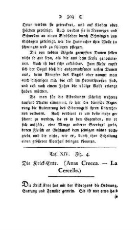 ¬Die¬ Krick-Ente : (Anas Crecca - La Cercelle) ; Taf. XIV, Fig. 4