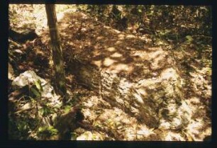 Altamira, Stela 4 (ALM: St. 4)