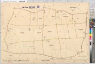 Steinfurt (Burgsteinfurt), Umlegung Hollich, Bl.7 Planabdruck Flur 24