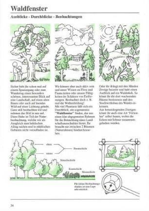 Buch-Illustrationen "Klassenzimmer Natur"