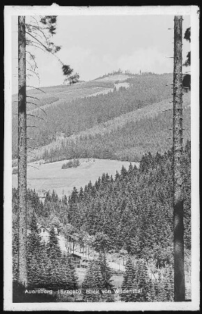 Wildenthal. Wildenthal mit dem Auersberg