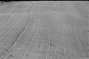 Čičmany. Akt-Pleinair 1980. Abgeerntetes Feld mit einer darauf liegenden jungen Frau