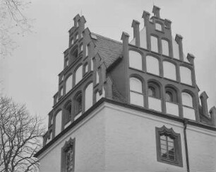 Schloss Netzschkau, Turm, Dach