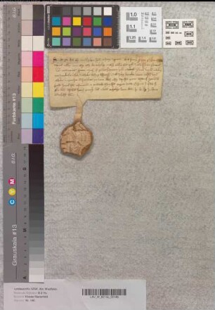 Bischof S(ymon) von Paderborn bekundet, daß sein Verwandter Otto, Sohn des Grafen Conrad von Rietberg, Kanoniker zu Paderborn, sein Recht an den Häusern Rokeslo und Winkele resigniert habe.