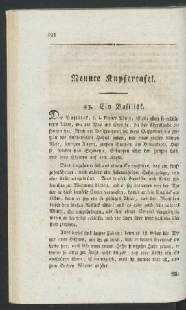 Neunte Kupfertafel.
