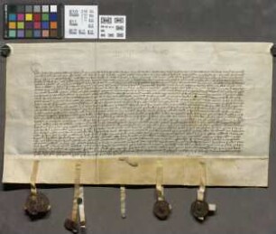 Mainz (Stadt): Litera bann. pro conventu Cenobii in Dalen prope Mog. super annuis et perpetuis redditibus trium librarum et sex solidorum hallensi...