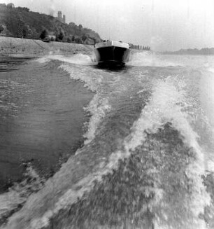 Motorboot in Fahrt auf der Donau