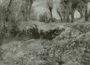 Sommerlandschaft