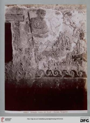 6981A Dettaglio Tomba dei Scudi - Corneto Tarquinia
