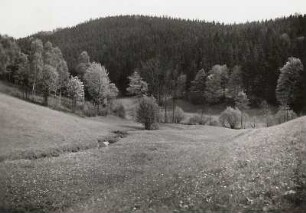 Trebnitzbachtal bei Börnchen süd-südöstlich Glashütte