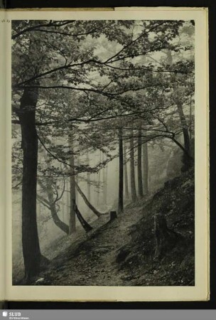 84 Verhangener Tag in den Schrammsteinen