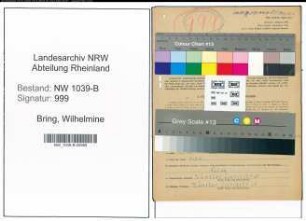 Entnazifizierung Wilhelmine Bring , geb. 08.01.1903 (Jugendleiterin)