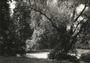 Wermsdorf. Schloss Hubertusburg. Schlosspark