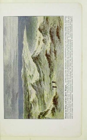 Dünen bei Binz auf der Insel Rügen