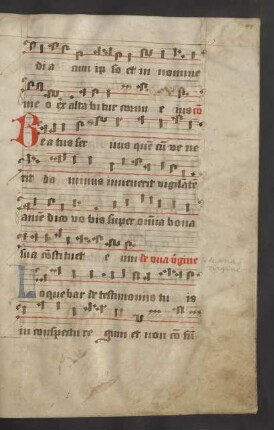 Commune unius virginis