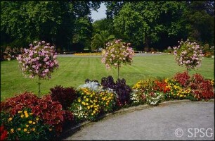 Potsdam, Neuer Garten, Sommerbepflanzung im Parterre Marmorpalais.
