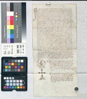 Insinuationsinstrument der Appellation durch Anschlag an der Paderborner Domkirche.