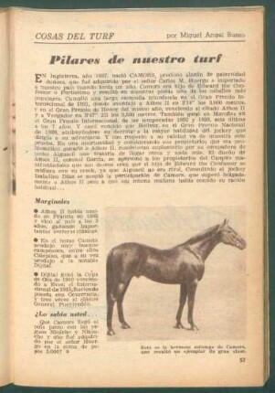 Pilares de nuestro turf : Cosas del turf