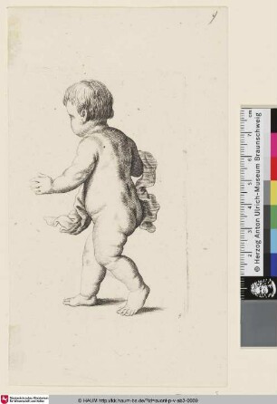 [Laufender Putto nach links, Rückenfigur]