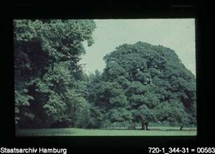 Hirschpark