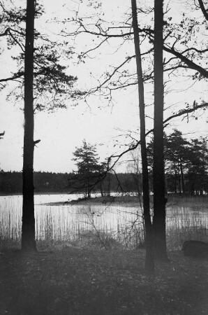 Weinböhla, Großteich : Weinböhla. Am Ufer des Großteich