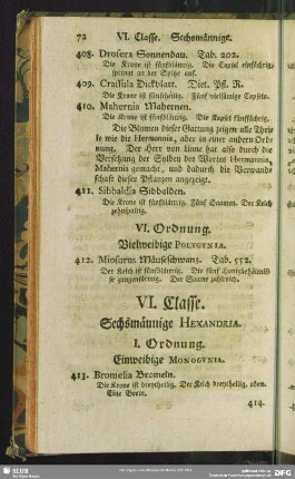 VI. Classe. Sechsmännige. Hexandria
