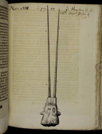 [Handrisse, meist in Tusche]