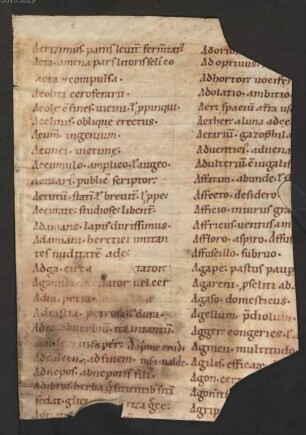 Glossarium (mit deutschen Glossen): Heinrici Summarium - BSB Clm 29670(9