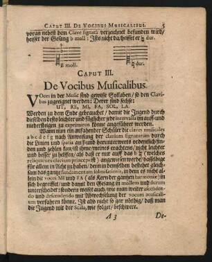 Caput III. De Vocibus Musicalibus.