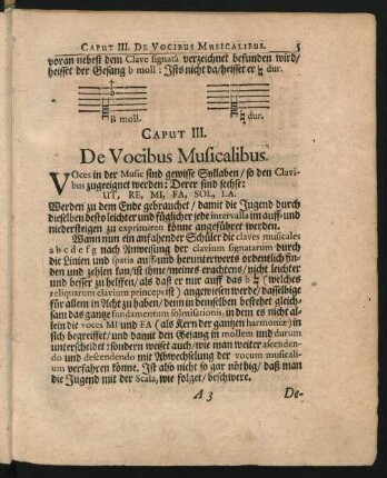 Caput III. De Vocibus Musicalibus.