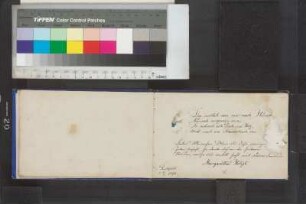 Einträge Bl. 11 - 21