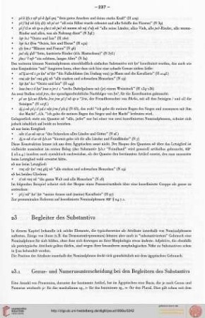 23. Begleiter des Substantivs