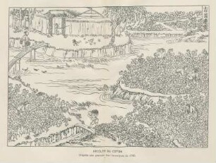 Récolte du coton. D' apres une gravure des chroniques de 1769