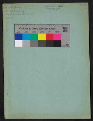 New York Illustrated No. 1, No. 2 - Art Supplement - Appletons Journal