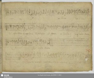 Gallus, Iacobus: Beatus vir