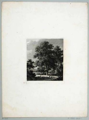 Blick in den Großen Garten in Dresden, Blatt Teil einer Folge von 12 Naturstudien von Johann Philipp Veith
