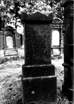 Grabstein 236 [Nir S. 166 Nr. 15.26]