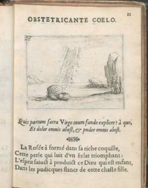 Obstetricante Coelo.